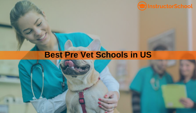 Best Pre Vet Schools in US