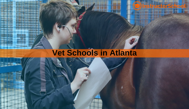 vet schools in Atlanta